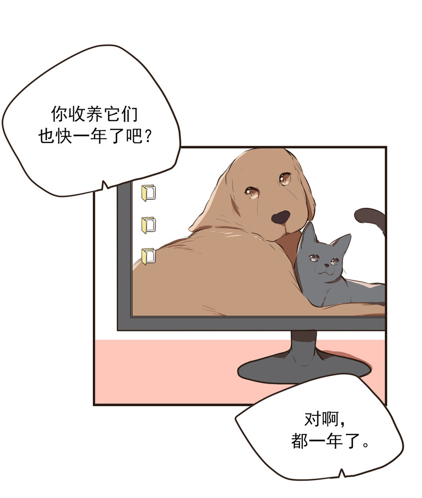 《汪汪喵喵》08 注意身体 第16页