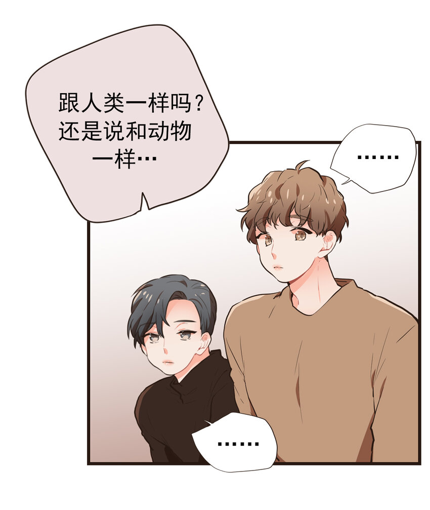 《汪汪喵喵》12 有奇怪的东西掉出来 第4页