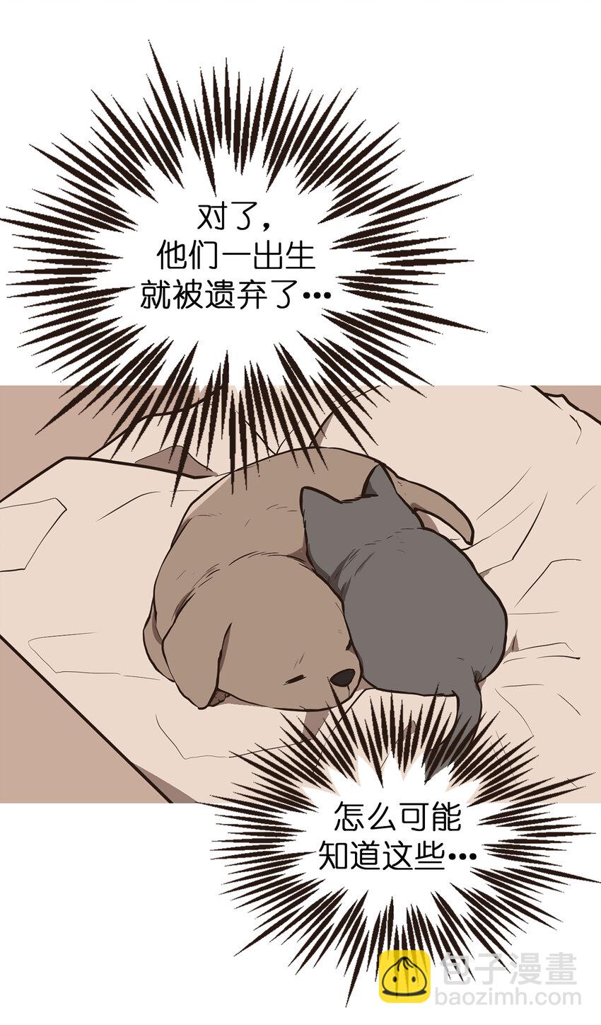 《汪汪喵喵》12 有奇怪的东西掉出来 第5页