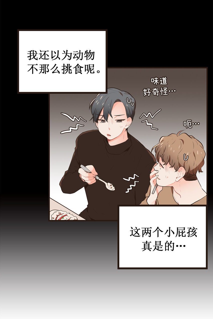 《汪汪喵喵》11 和我一起吃饭吧！ 第13页