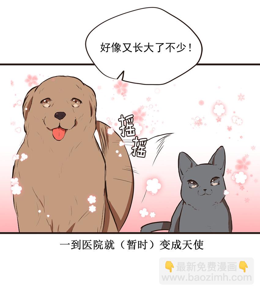 《汪汪喵喵》10 可爱的小家伙 第15页