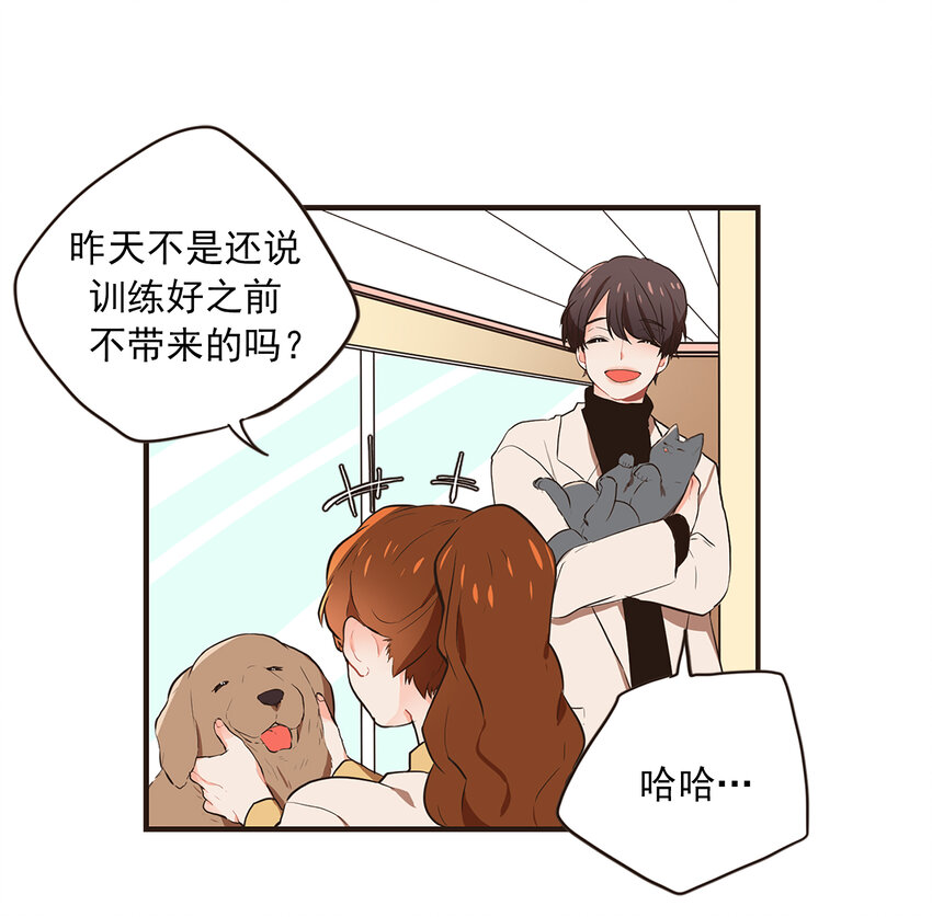 《汪汪喵喵》10 可爱的小家伙 第16页