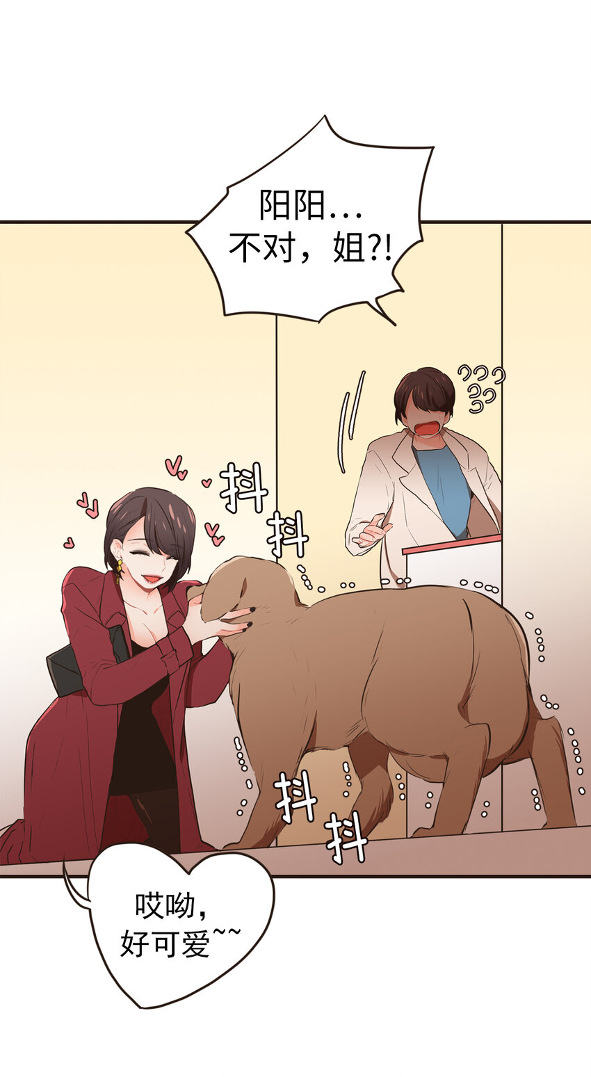 《汪汪喵喵》16 老姐饶了我！ 第14页