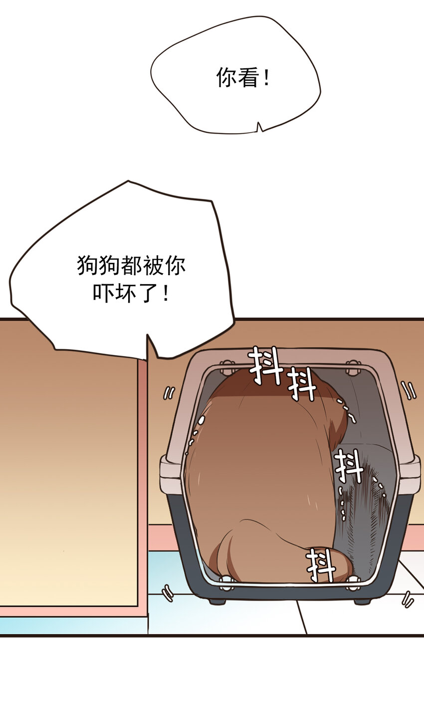 《汪汪喵喵》16 老姐饶了我！ 第16页