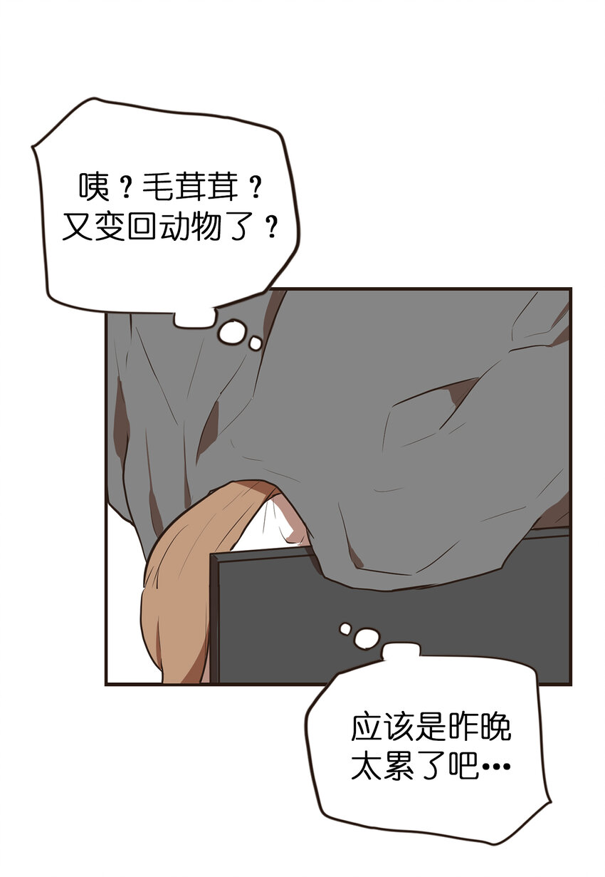 《汪汪喵喵》14 一定是单身太久了 第6页