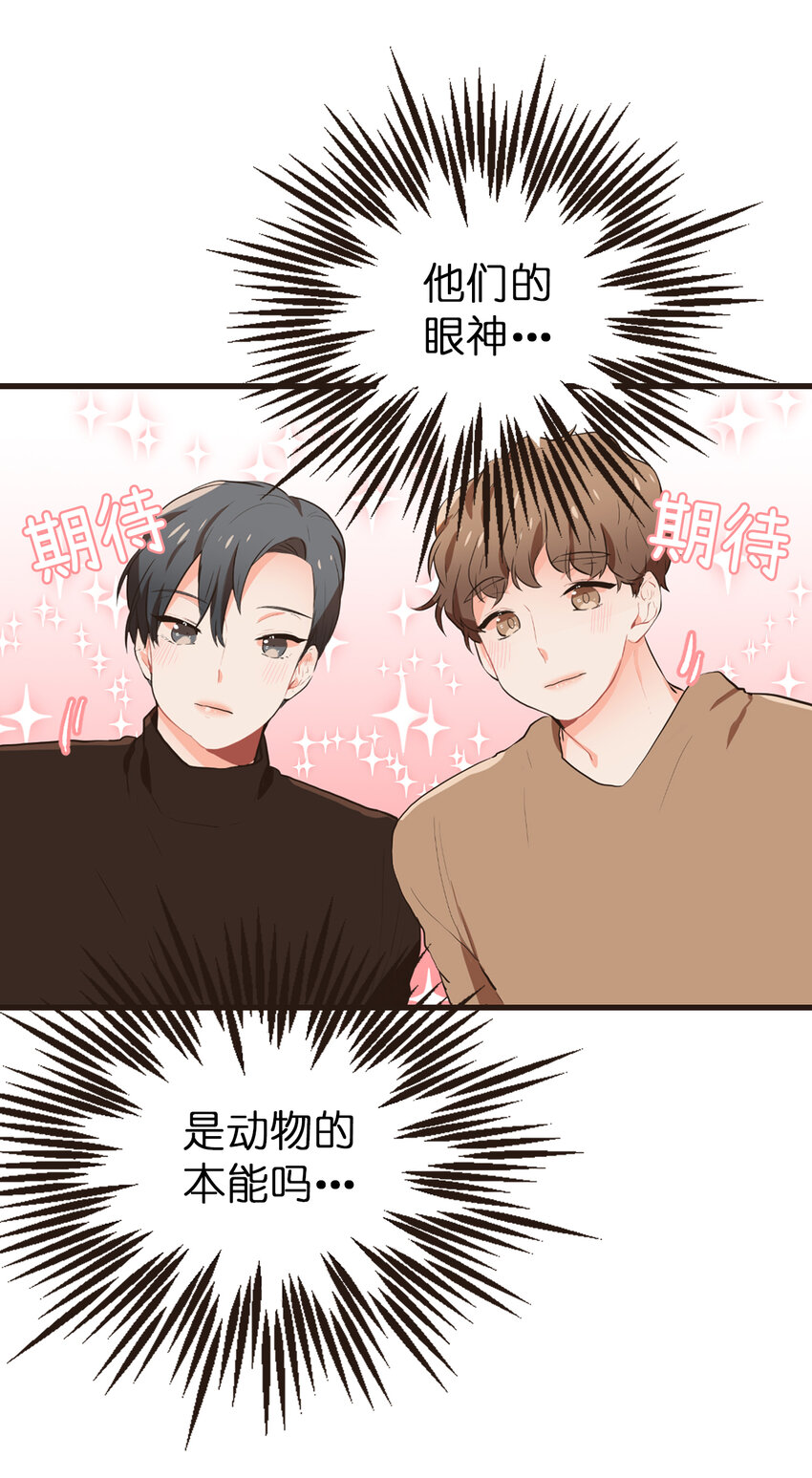 《汪汪喵喵》13 我们也要玩这个！ 第14页