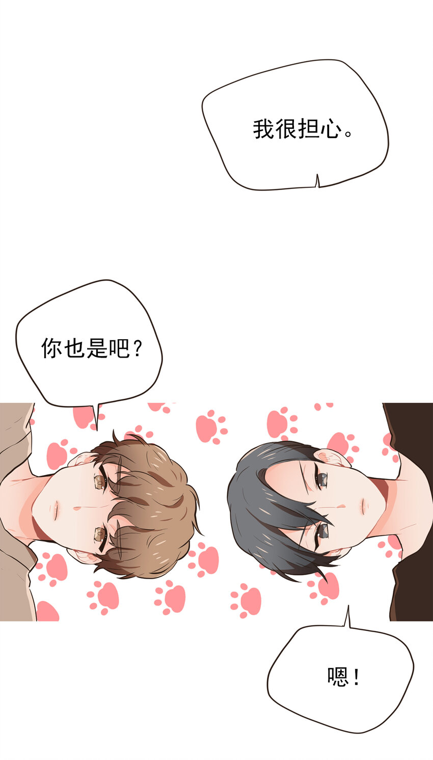 《汪汪喵喵》17 周仁喜欢年上 第17页