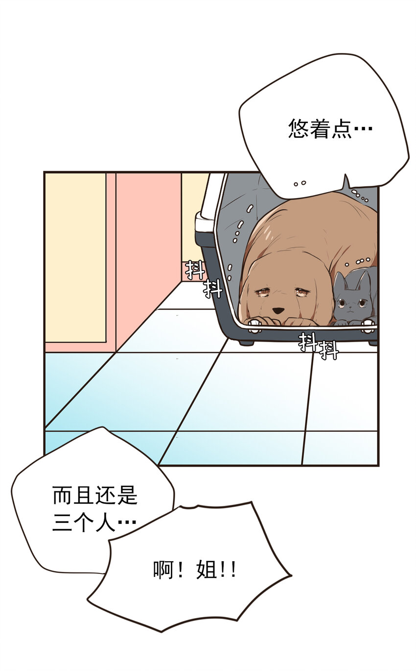 《汪汪喵喵》17 周仁喜欢年上 第5页