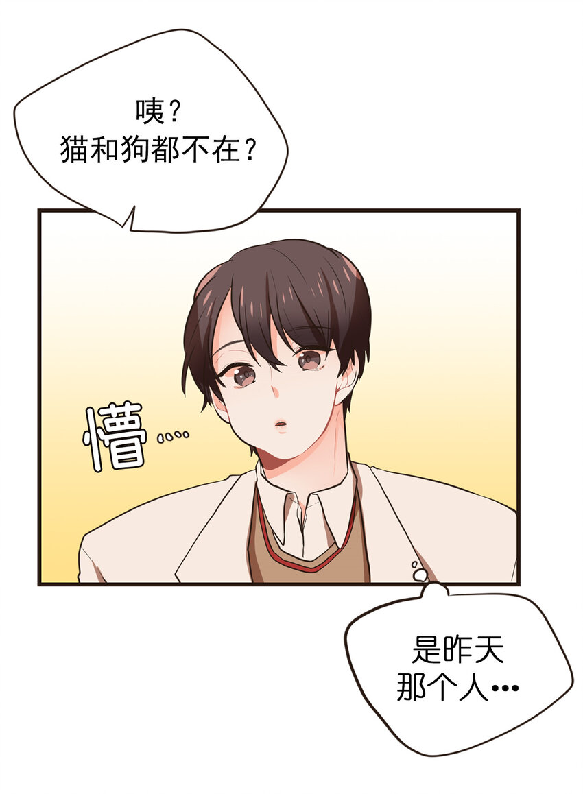 《汪汪喵喵》19 如约而至 第19页