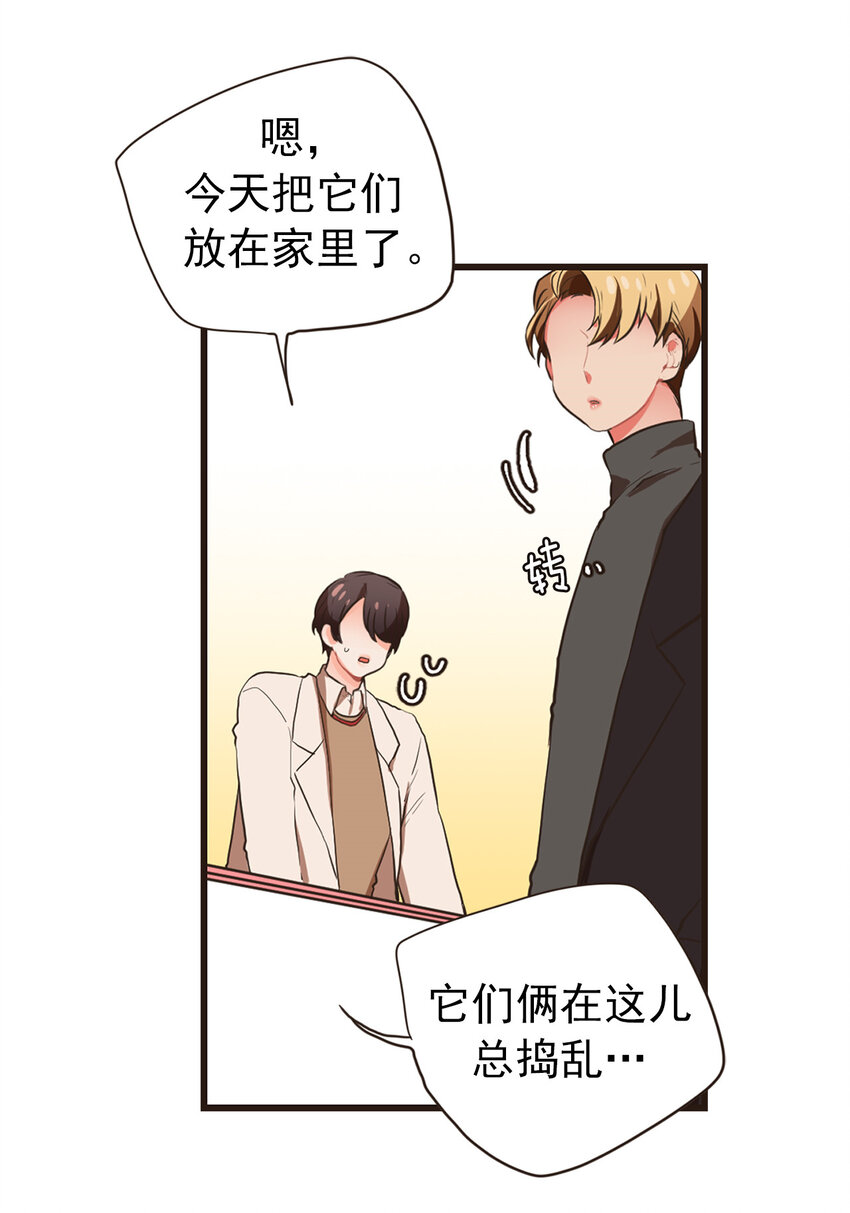 《汪汪喵喵》19 如约而至 第20页