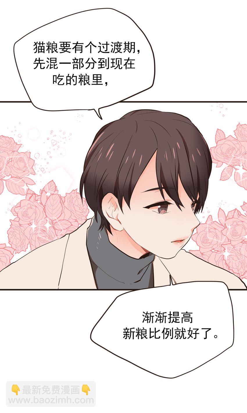 《汪汪喵喵》19 如约而至 第2页