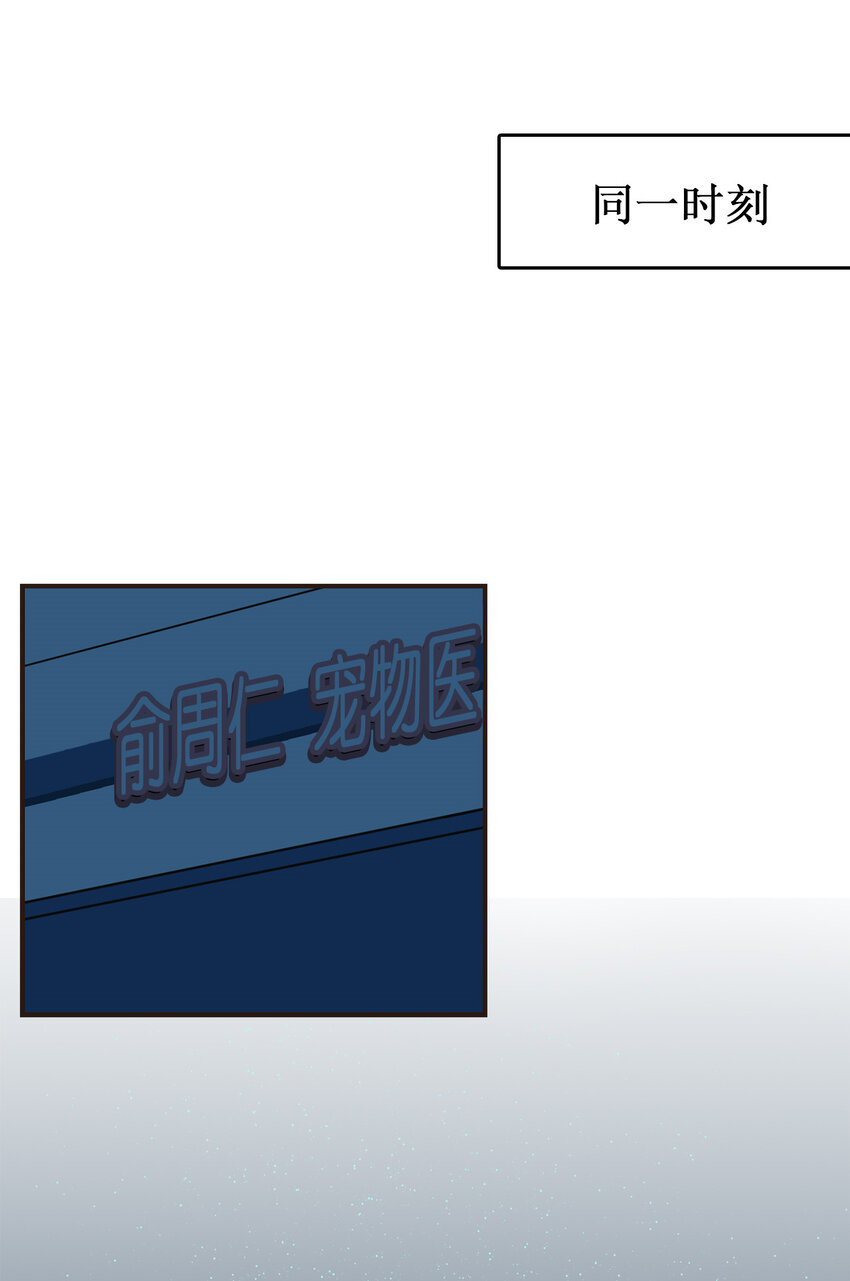 《汪汪喵喵》18 大人的世界好复杂 第12页