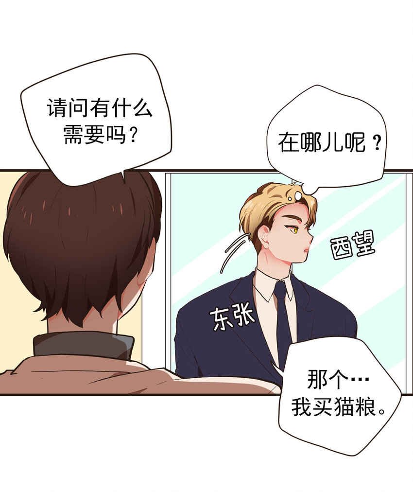 《汪汪喵喵》18 大人的世界好复杂 第20页