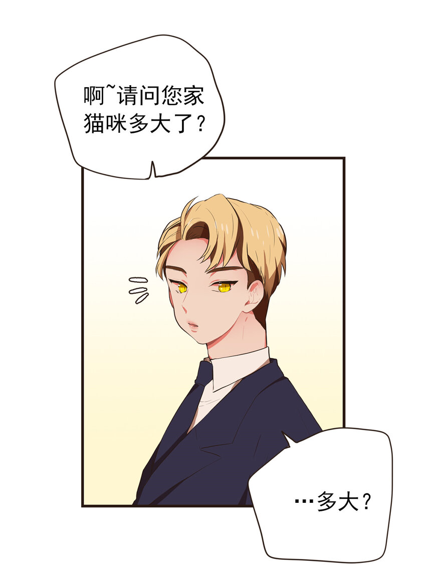 《汪汪喵喵》18 大人的世界好复杂 第21页