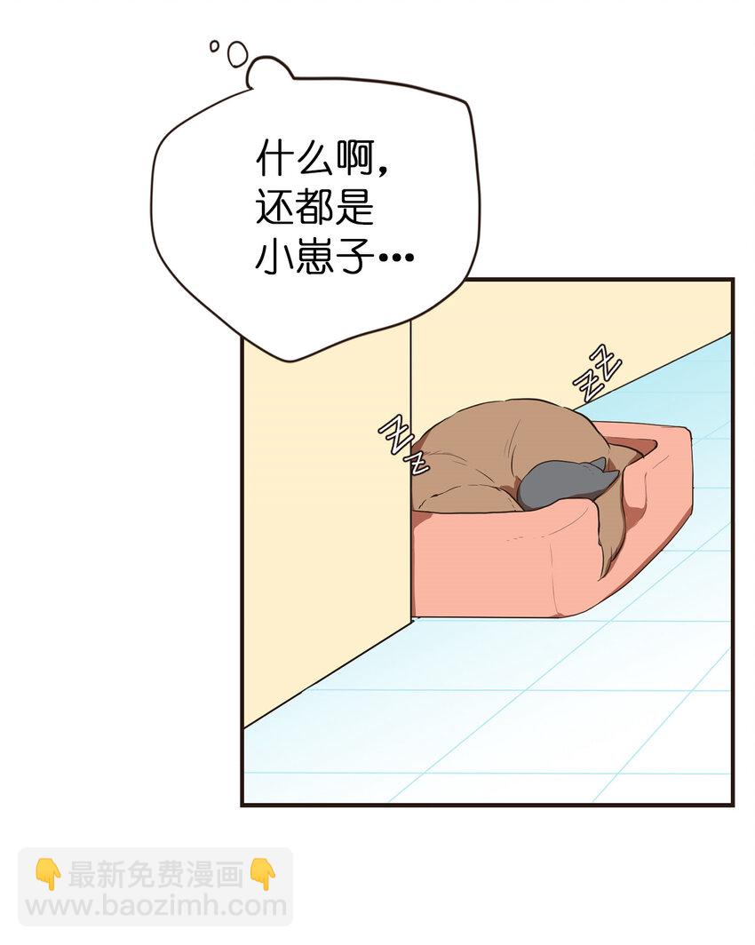 《汪汪喵喵》18 大人的世界好复杂 第22页