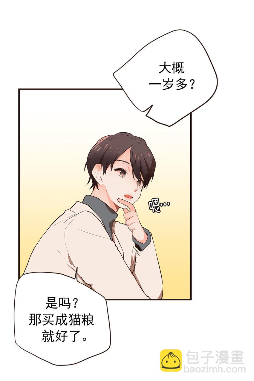 《汪汪喵喵》18 大人的世界好复杂 第23页