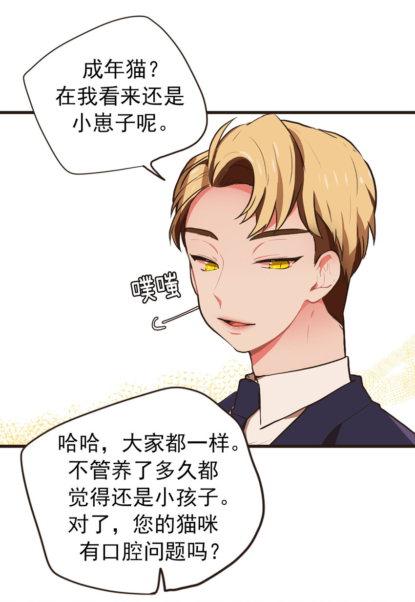 《汪汪喵喵》18 大人的世界好复杂 第24页