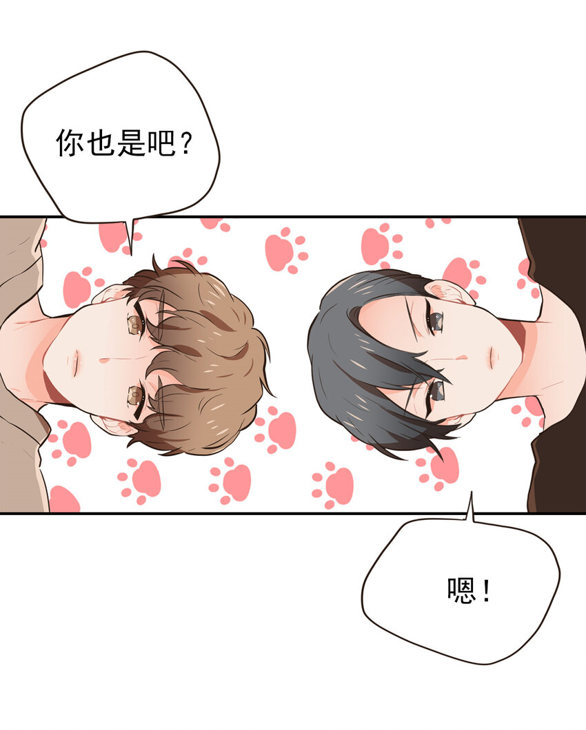 《汪汪喵喵》18 大人的世界好复杂 第2页