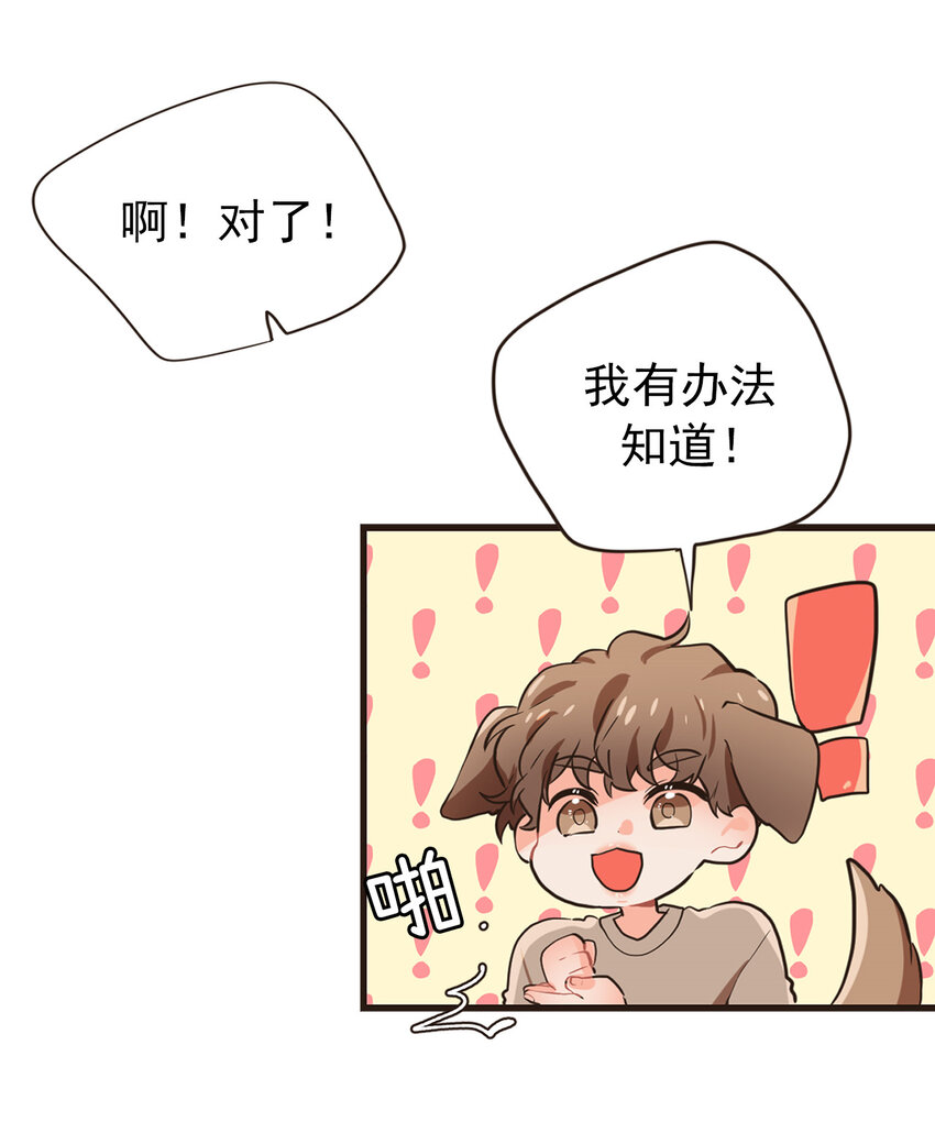 《汪汪喵喵》18 大人的世界好复杂 第5页