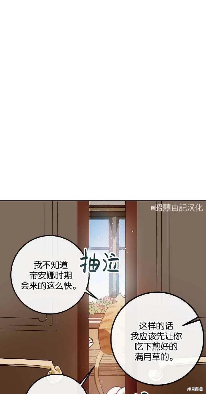 《丑小鸭的故事》第6话 第14页