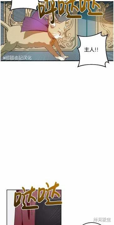 《丑小鸭的故事》第13话 第20页