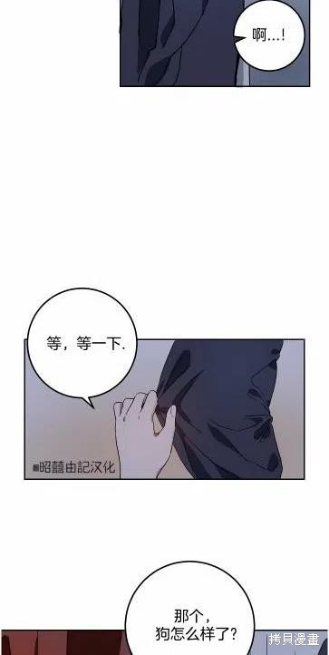 《丑小鸭的故事》第14话 第44页