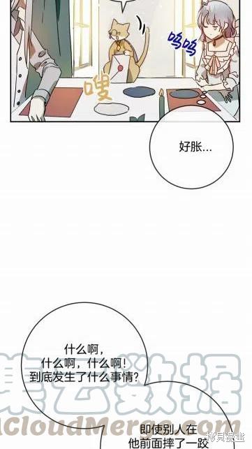 《丑小鸭的故事》第18话 第34页