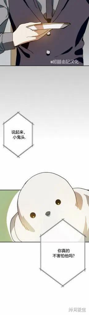 《丑小鸭的故事》第23话 第20页