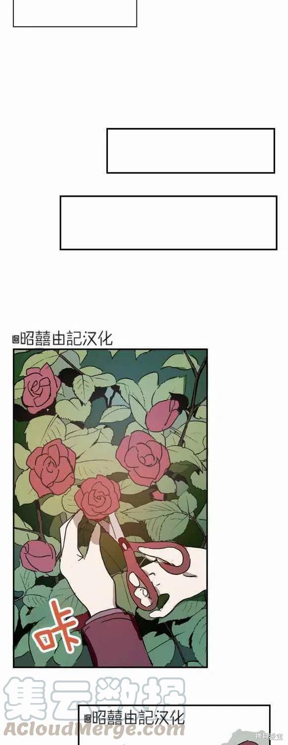 《丑小鸭的故事》第29话 第35页