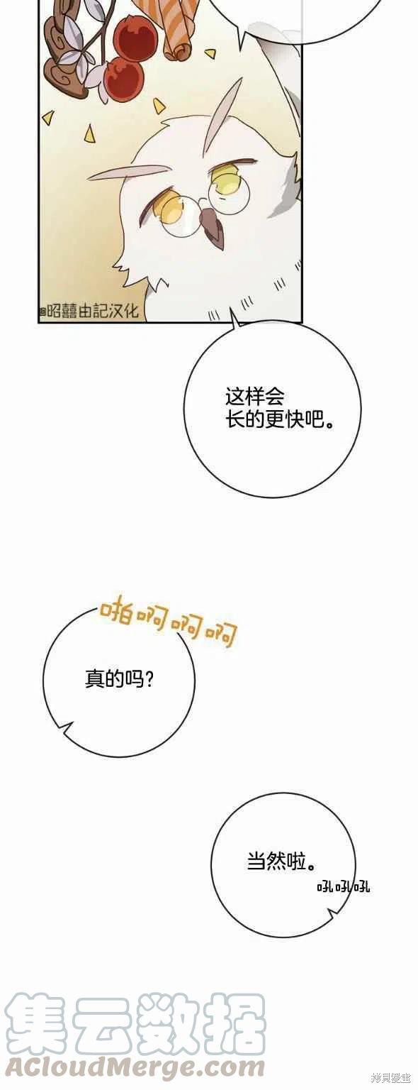 《丑小鸭的故事》第28话 第35页