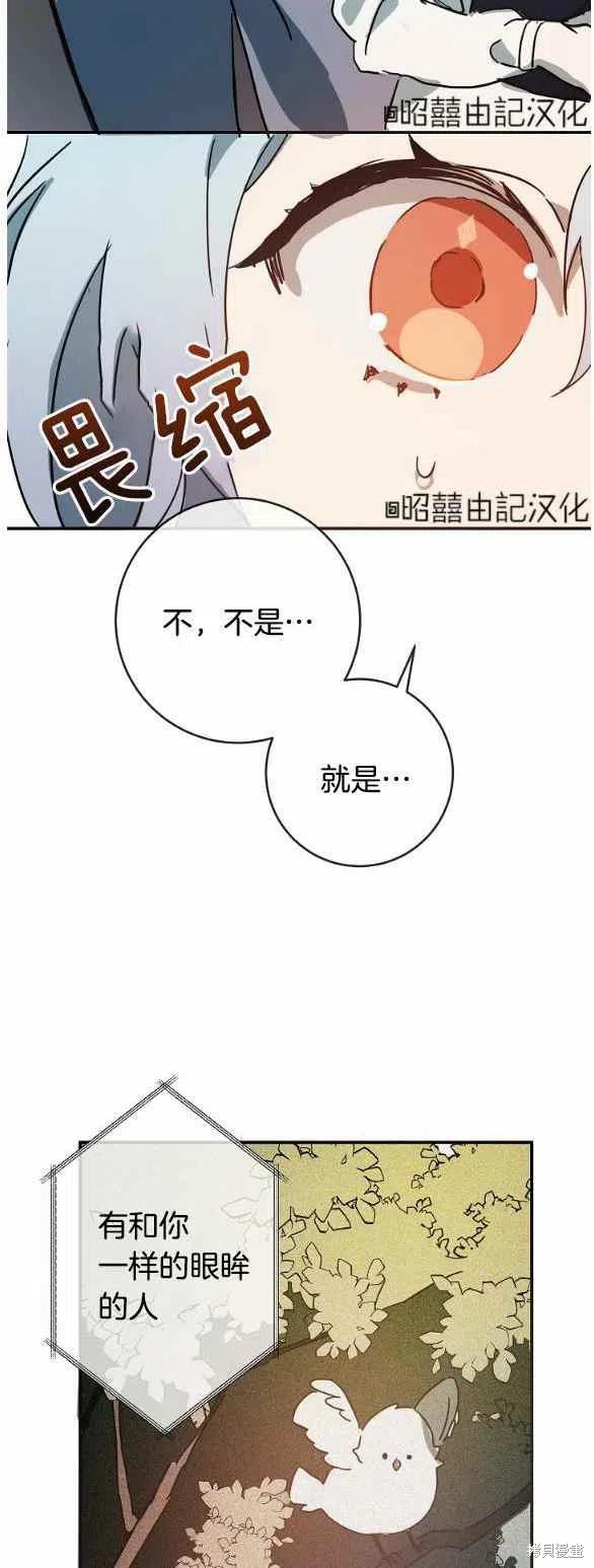 《丑小鸭的故事》第32话 第6页