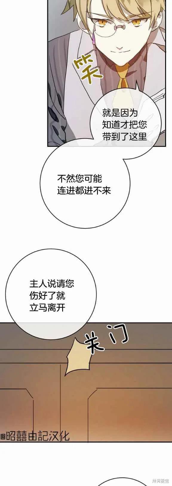 《丑小鸭的故事》第31话 第12页