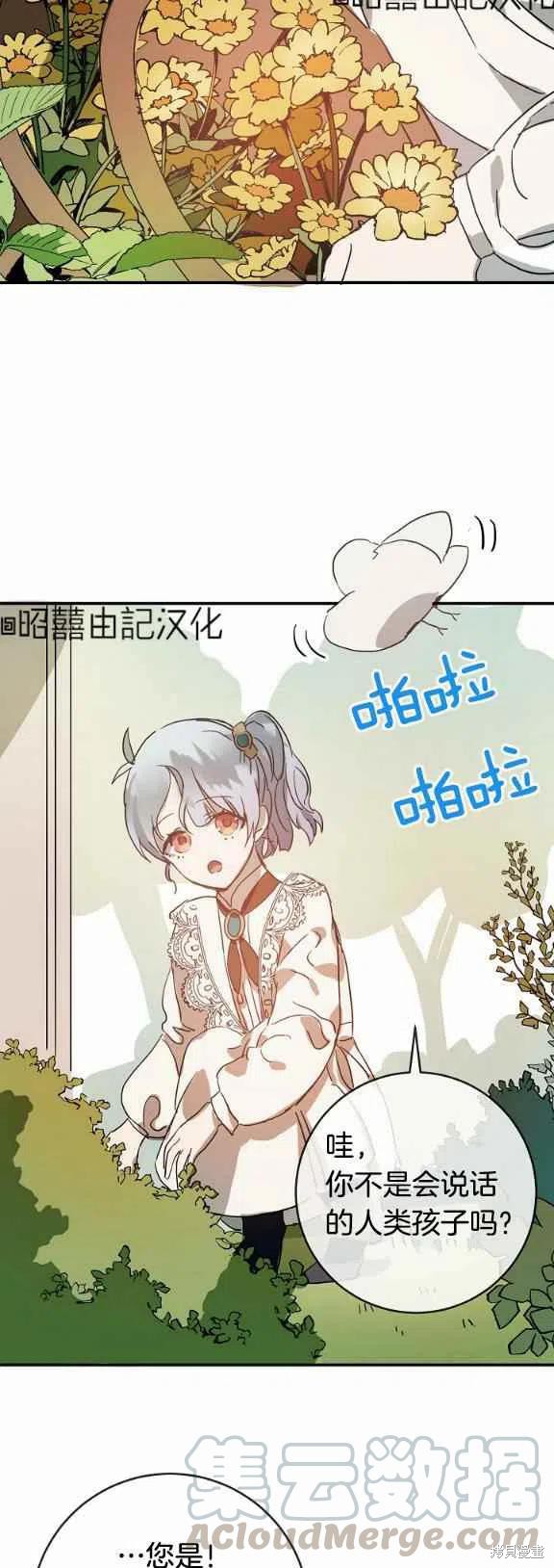 《丑小鸭的故事》第31话 第17页