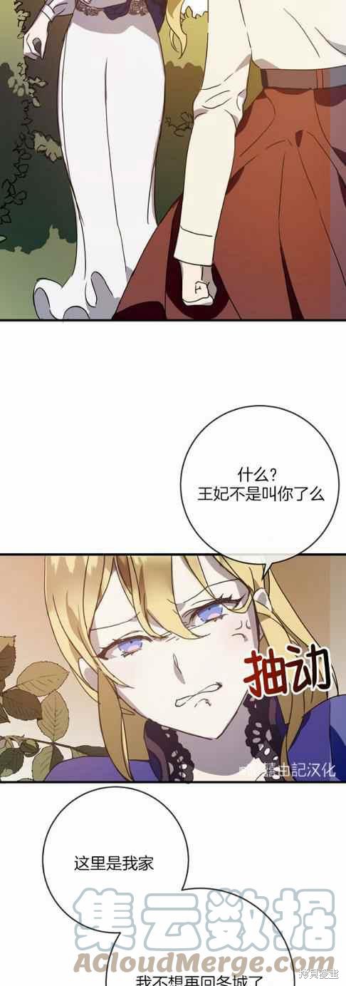 《丑小鸭的故事》第48话 第17页