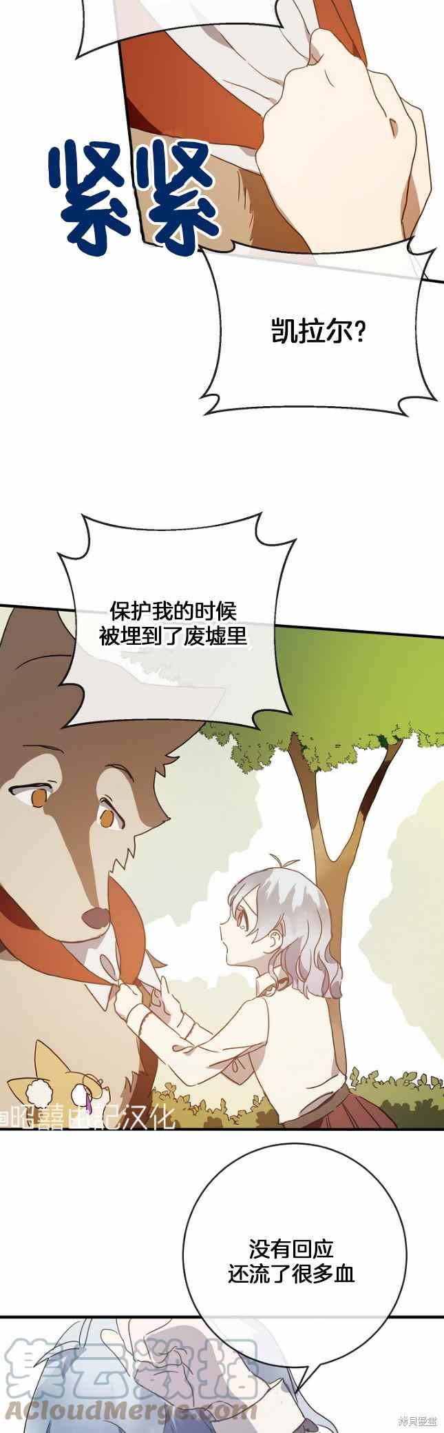 《丑小鸭的故事》第50话 第17页
