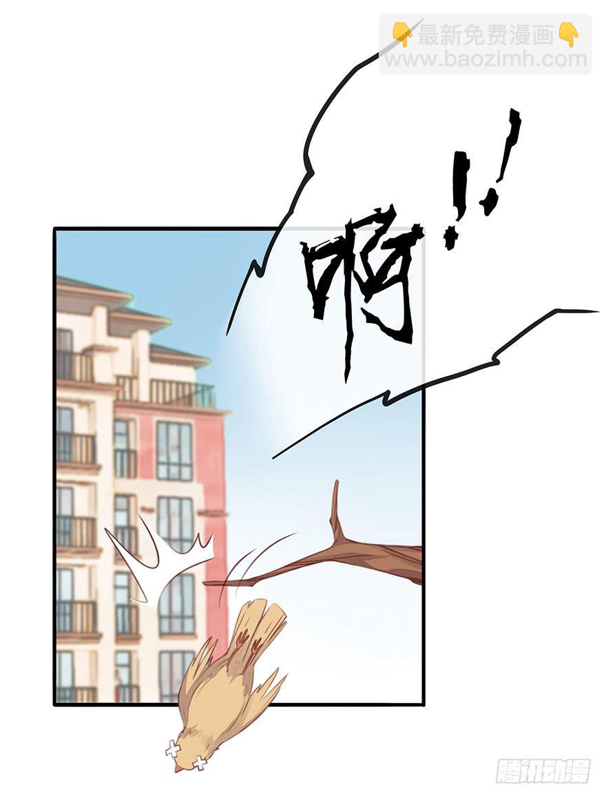 《总裁大人少女心》第二天 第17页