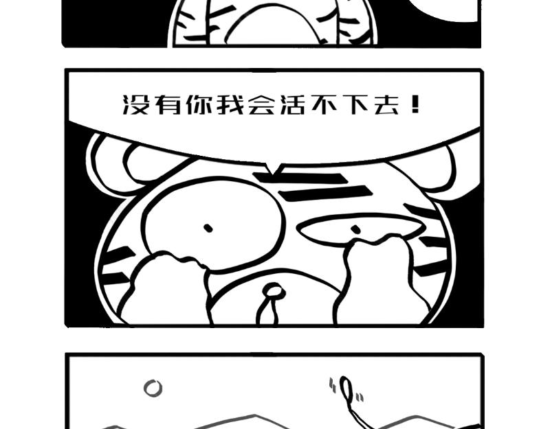 《虎子233》一 第15页