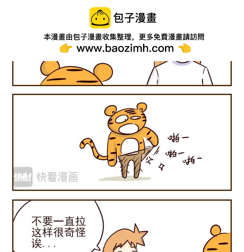 《虎子233》十一 它是呆子 第5页