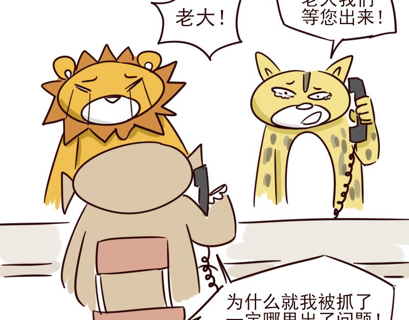《虎子233》十五 一个好人 第11页