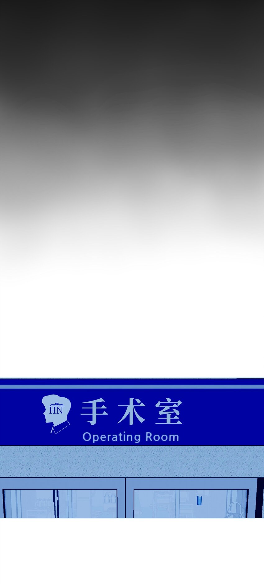 《皮囊（谎颜）》08 进行手术 第30页
