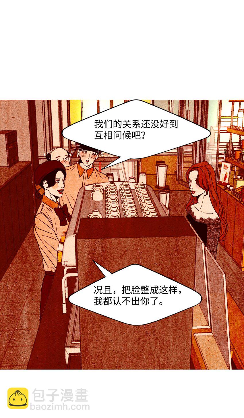 《皮囊（谎颜）》13 残酷的报复 第31页