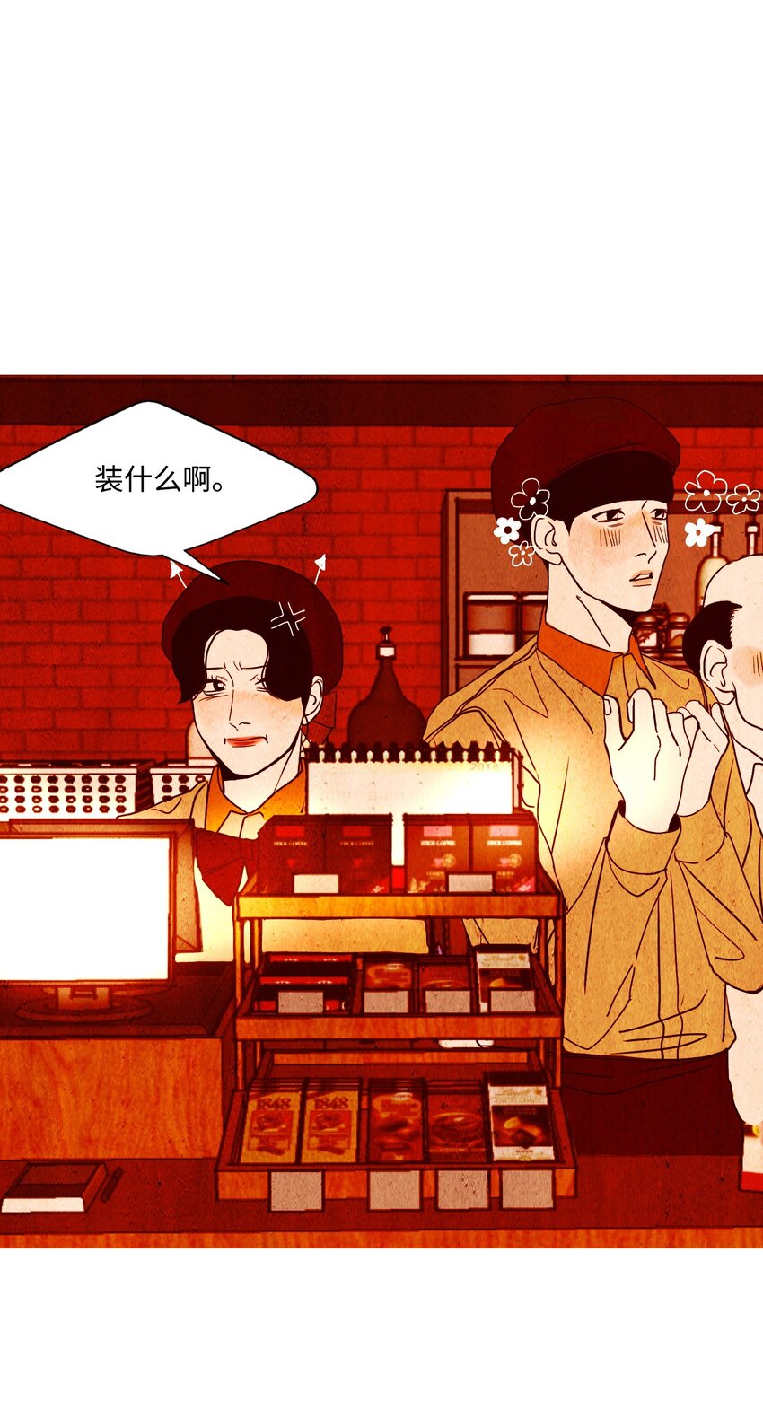 《皮囊（谎颜）》13 残酷的报复 第46页