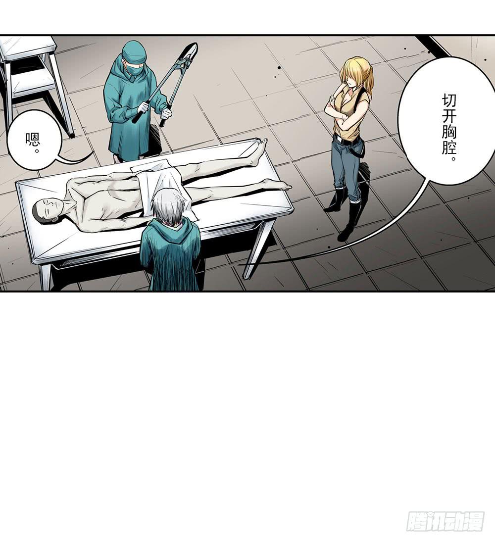 《此岸边缘》案件开始 第13页