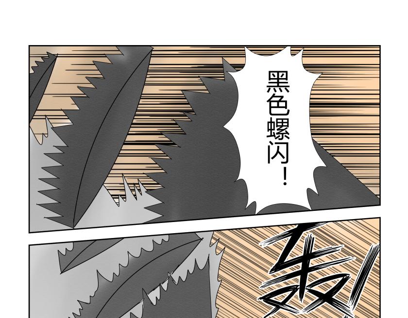 《灵兽守护计划》战斗开始 第11页