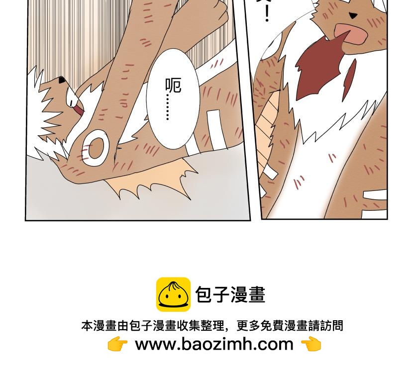 《灵兽守护计划》战斗开始 第14页
