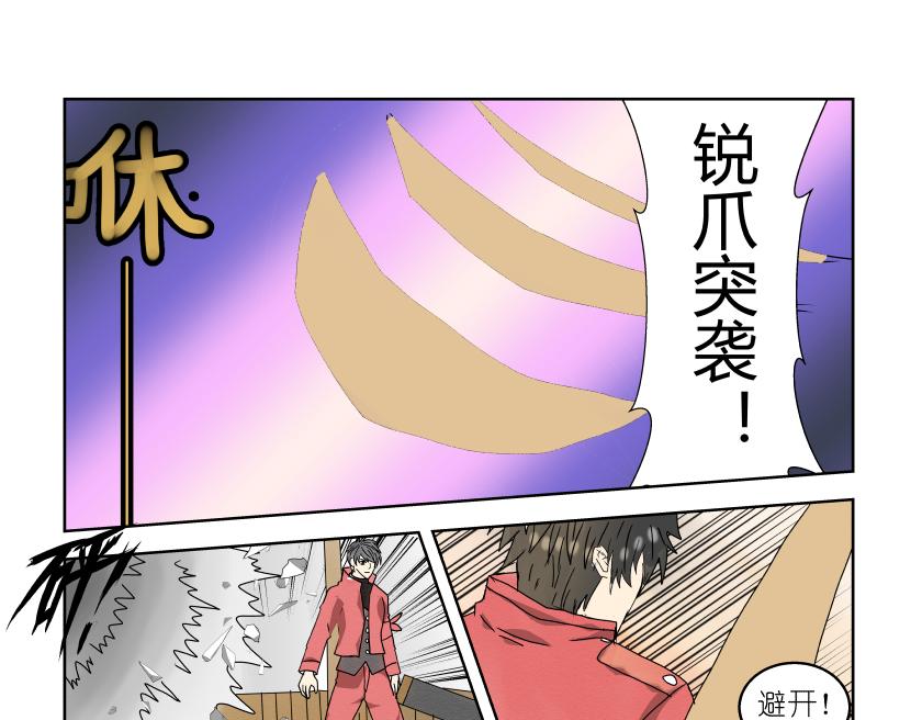 《灵兽守护计划》战斗开始 第1页