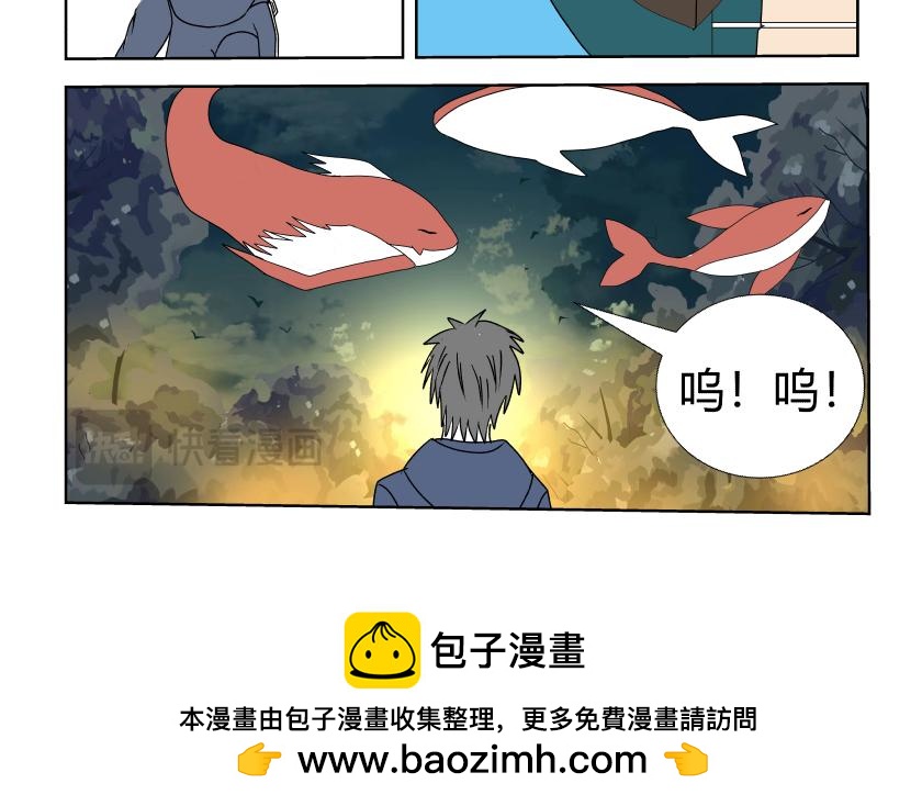 《灵兽守护计划》试炼1 第12页
