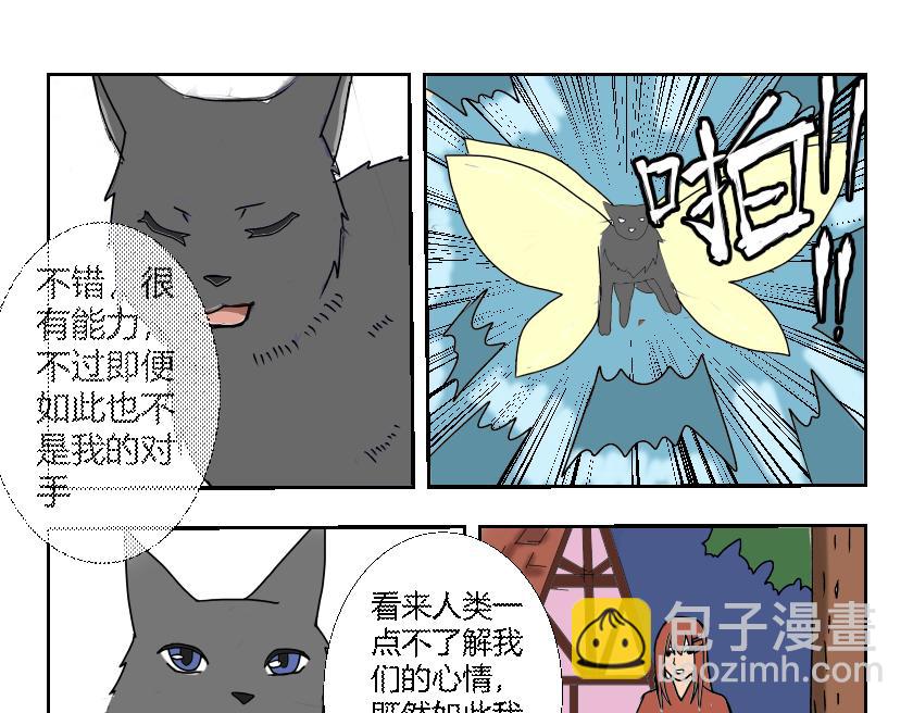 《灵兽守护计划》夜袭 第3页
