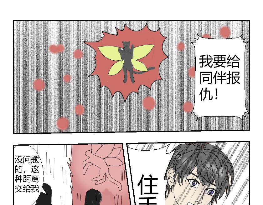 《灵兽守护计划》夜袭 第9页