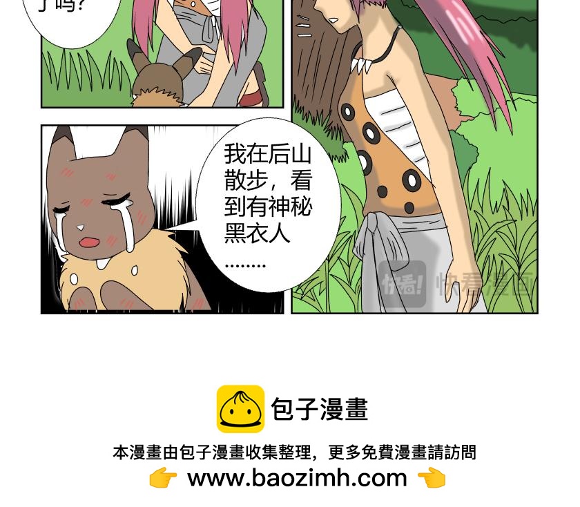 《灵兽守护计划》神秘组织 第12页